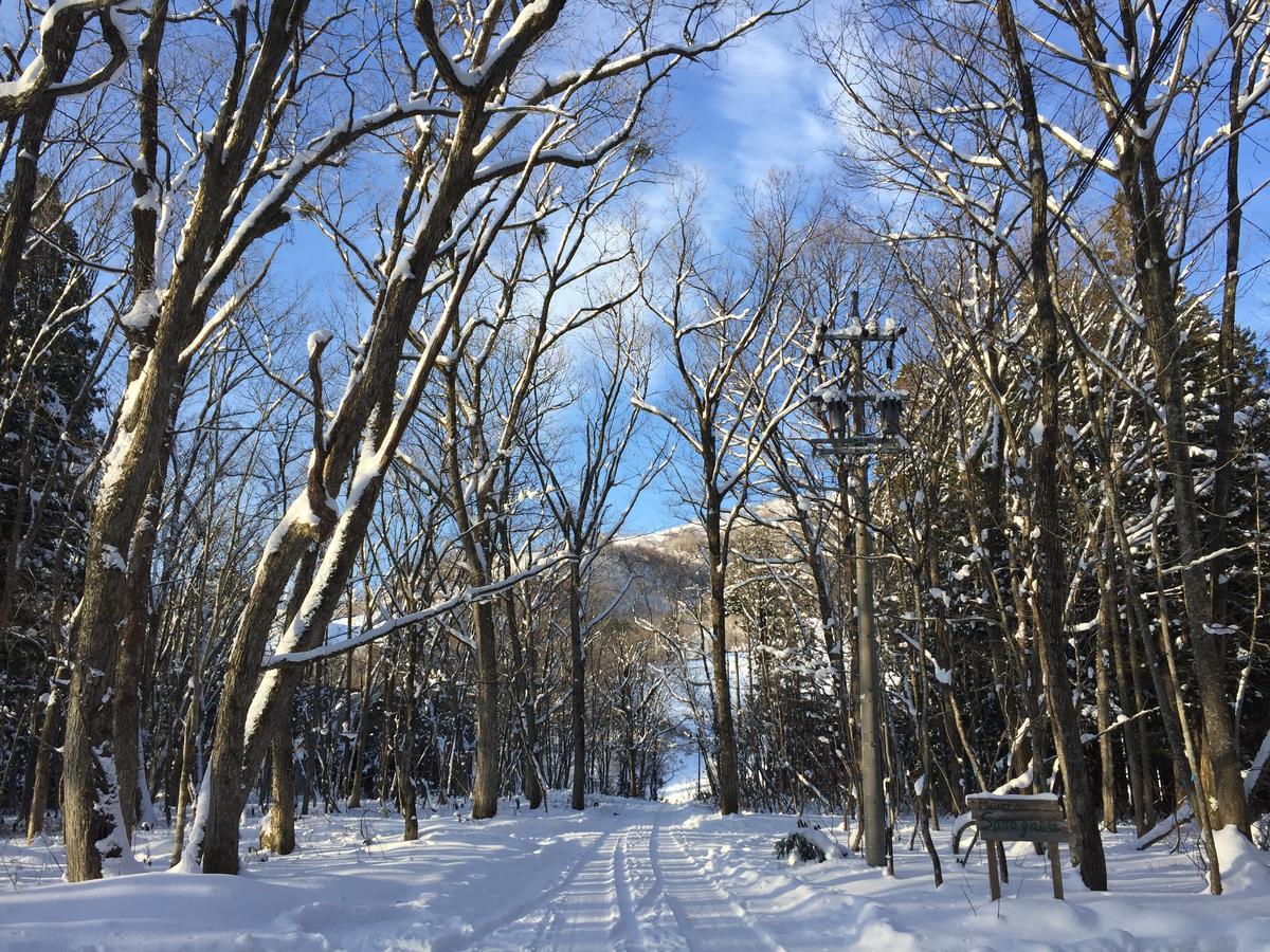 Maison De Sasagawa Hakuba Exteriér fotografie